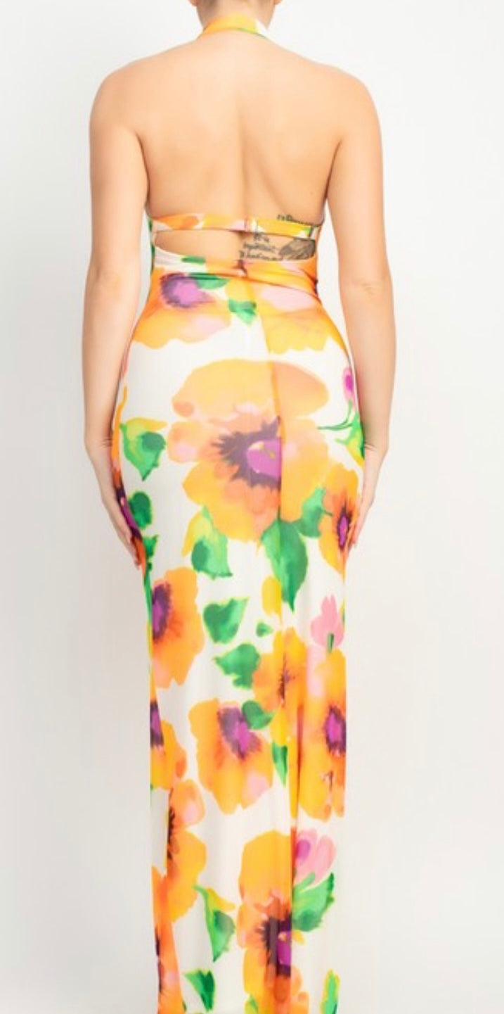Sherbet Floral Maxi Dress